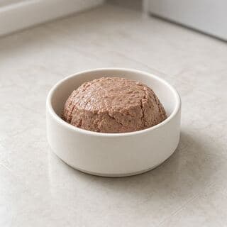 Cat food